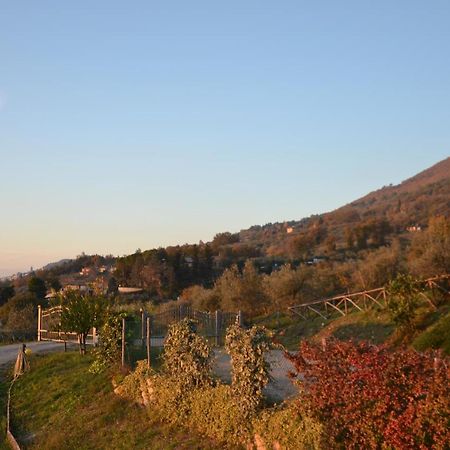 Locazione Turistica Villa Delle Rose アッシジ エクステリア 写真