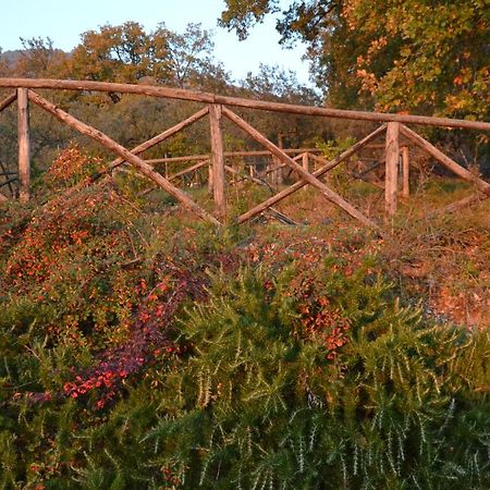 Locazione Turistica Villa Delle Rose アッシジ エクステリア 写真