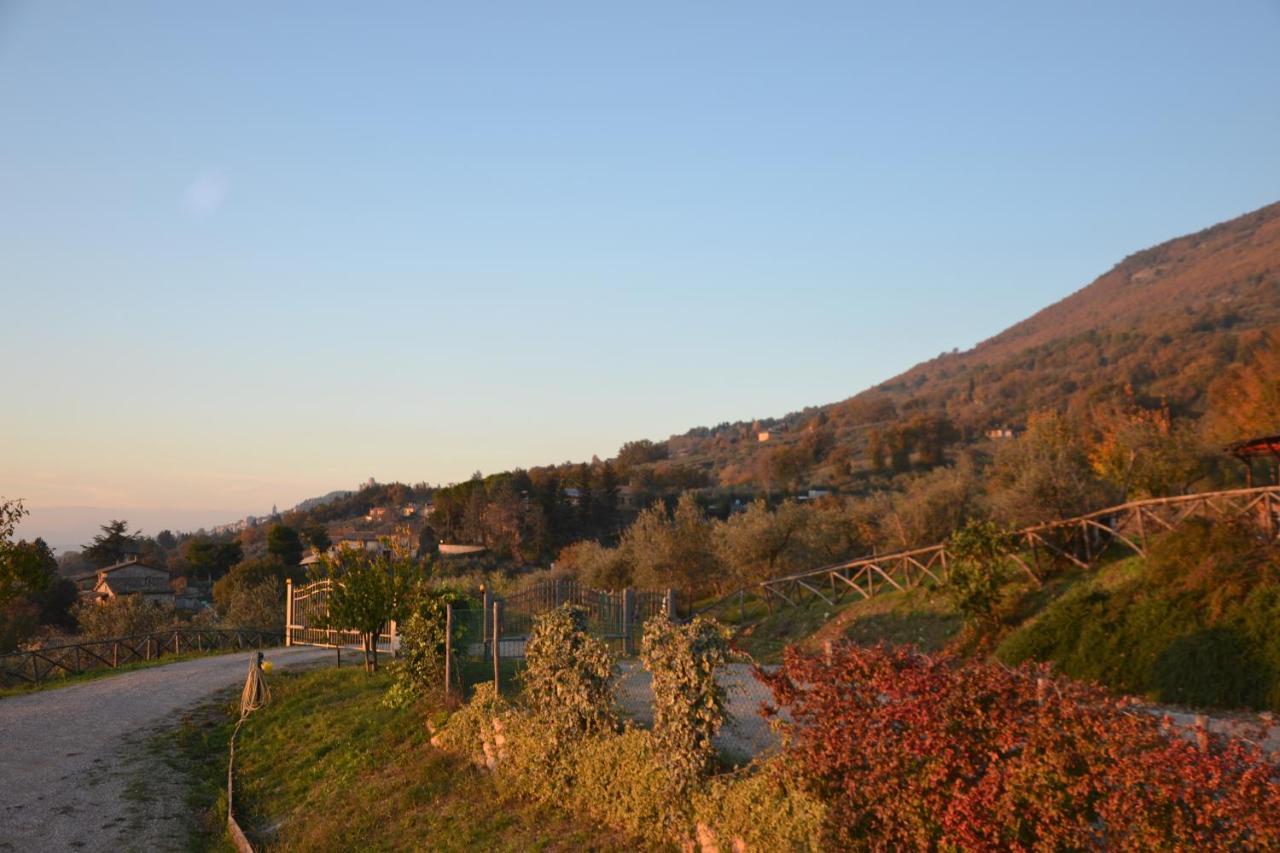 Locazione Turistica Villa Delle Rose アッシジ エクステリア 写真