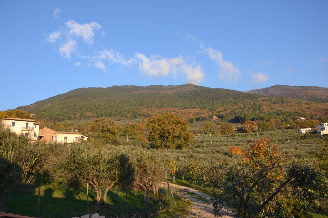 Locazione Turistica Villa Delle Rose アッシジ エクステリア 写真