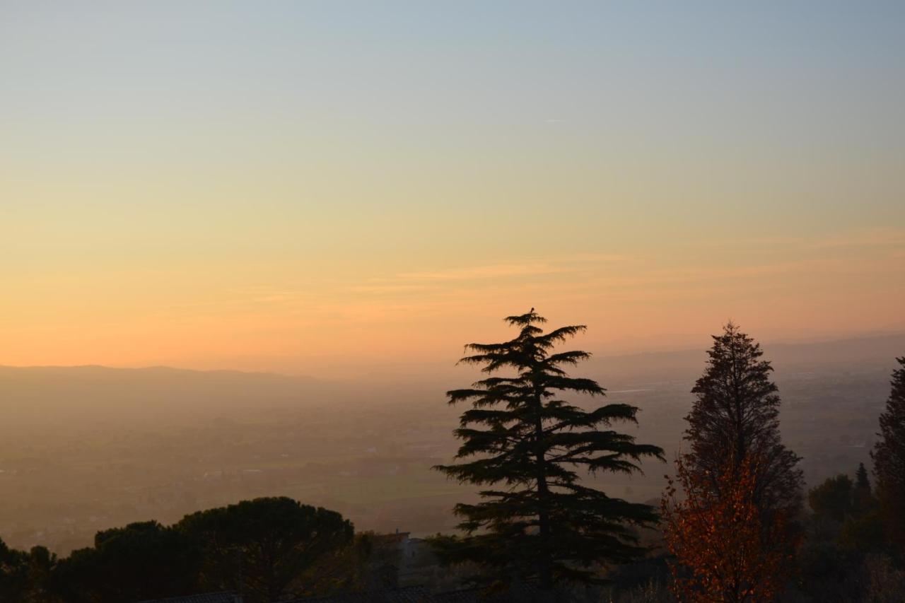 Locazione Turistica Villa Delle Rose アッシジ エクステリア 写真